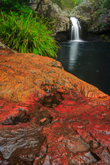 Rock Pool at Kondolilla Falls, Kondolilla National Park, Sunshine Coast, Queensland, Australia