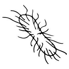 Outline microbe vector icon. Isolated black simple line element illustration from a medical concept. Editable vector stroke microbe. Virus icon. Hand drawn illustration. Virus, bacteria.