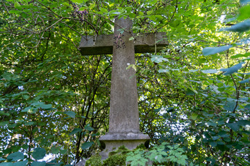 Schwarzwald im Hochsommer