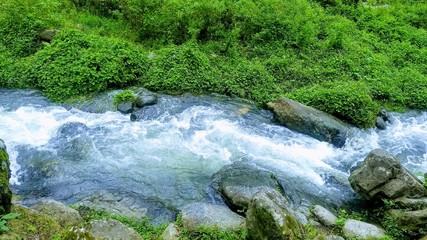 Río entre vegetación