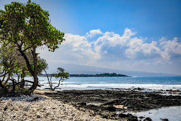 Trees and coral on the left with low clouds on the horizon and and ocean on the right on the big island of Hawaii near Anaehoomalu Point
