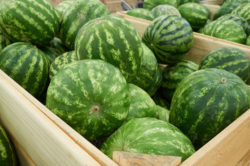 many ripe watermelons for sale in a supermarket