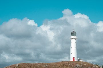 Fototapeta na wymiar A beautiful tall white Cape Egmont Lighthouse.