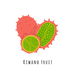Kiwano fruit flat vector illustration