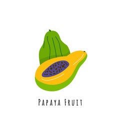 Papaya fruit flat vector illustration