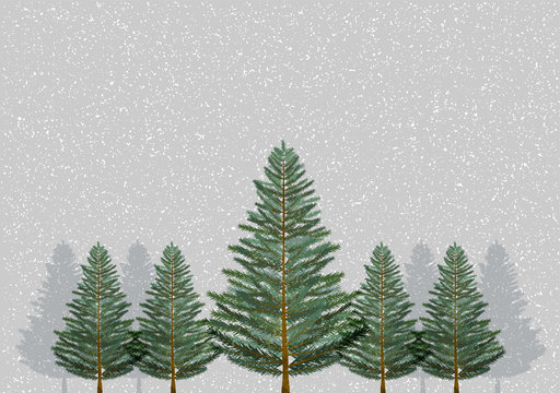 2 965 Best もみの木 Images Stock Photos Vectors Adobe Stock 2 965 Best もみの木 Images Stock Photos Vectors Adobe Stock