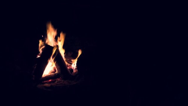 Camp fire burning logs. dark night.