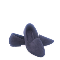 shoe or woman shoe on a background new.