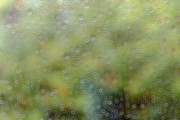 Blurred water drop on glass with ring bokeh and green nature background.