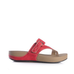 shoe or female fashion sandal on background.