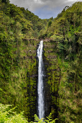 Tall waterfall over a sheer cliff is surrounded by lush green jungle in the Hawaii Tropical Botanical Garden on the Big Island of Hawaii