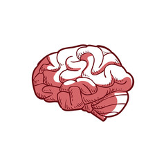 Simple line brain drawn logo template