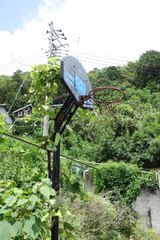 廃墟になったバスケット場のゴール　abandoned play ground