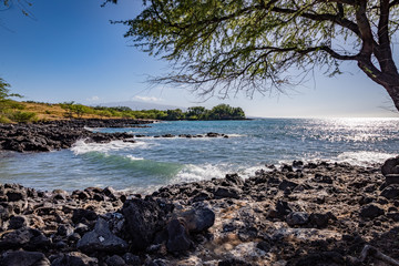 Gentle waves roll onto rough lava rocks with a tree creating some shade on the right side near...