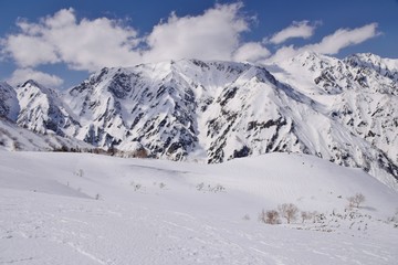 Fototapeta na wymiar Back countey skiing/snowboarding in Hakuba valley, Nagano