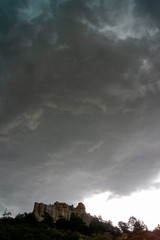 SONY DSC
