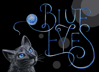 Hand drawn lettering poster with cat with blue eyes.