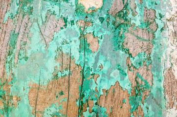 weathered wood planks