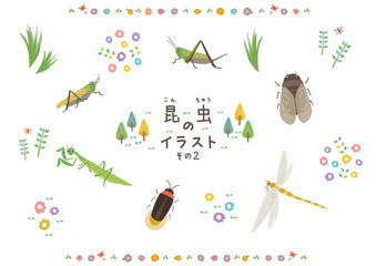 9 378 Cicala Insect Nature Wall Murals Canvas Prints Stickers Wallsheaven