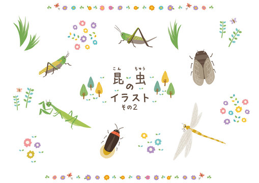 キリギリス Images Browse 493 Stock Photos Vectors And Video Adobe Stock