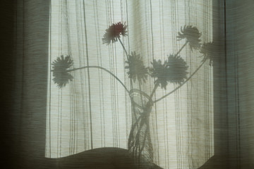 Abstraction, background silhouettes of flowers in a vase. Shadow of objects through the curtains on the window.