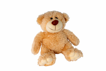 Teddy Bear White Background ,soft toy bear isolated on white background