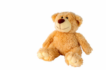 Teddy Bear White Background ,soft toy bear isolated on white background