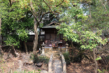 林の中の小さな祠