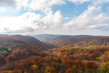 Autumn foliage scenery view, beautiful landscapes. Fall is full of magnificent colours. Entire mountain and valley is bathed in different hues of red, orange and golden colors background