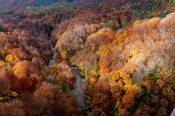 Autumn foliage scenery. Aerial view of valley and stream in fall season. Colorful forest trees background in red, orange, and golden colors