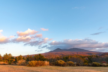 Autumn foliage scenery in Kayano-Kogen plateau, Aomori, Japan. Hakkoda Mountains on background bathed in different hues of red, orange, golden colors. Beautiful landscapes of magnificent fall colours