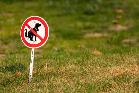 Verbotsschild Hier kein Hundeklo verbietet Hunden und Hundebesitzern auf der Wiese und dem Rasen Kot zu hinterlassen anstelle ihn mit Hygienebeuteln fachgerecht zu entsorgen