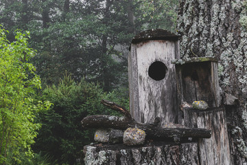 Old nesting boxes