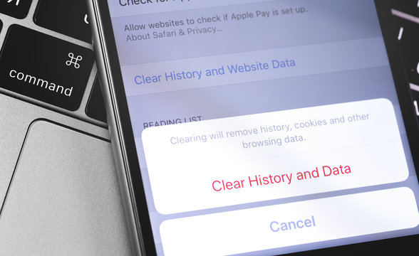 Apple iPhone official browser Safari remove history, cookies and other browsing data. Apple is a multinational technology company. Moscow, Russia - April 9, 2019