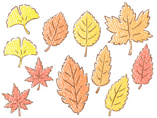 秋の紅葉 上下背景とライン素材 モミジ イチョウ ケヤキの葉っぱ Wall Mural Nora Hachio