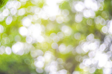 Obraz premium Green bokeh on nature background, green bokeh abstract