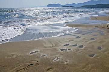 ice on the beach