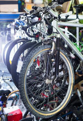 Fototapeta na wymiar Image of bicycles on showcase
