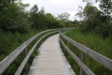 Fototapeta na wymiar A wooden boardwalk with rails going through a field
