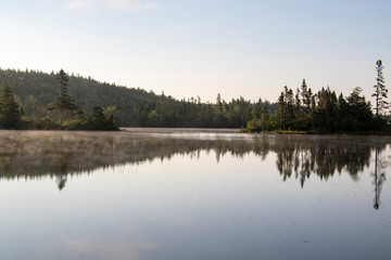 A view of a calm lake surrounded by forest