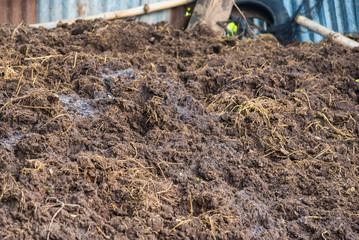 Vermicompost fertilizer and Cow Dung and soil.