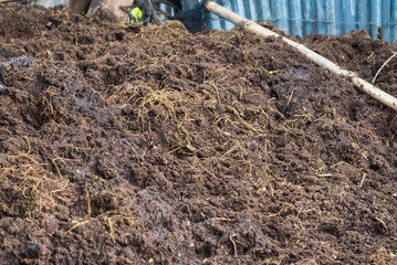 Vermicompost fertilizer and Cow Dung and soil.