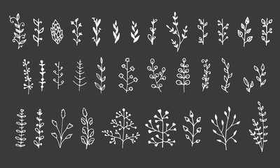 Collection of floral elements isolated on black background. Hand drawn leaves for your design.