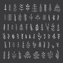 Big collection of floral elements isolated on black background. Hand drawn leaves for your design.