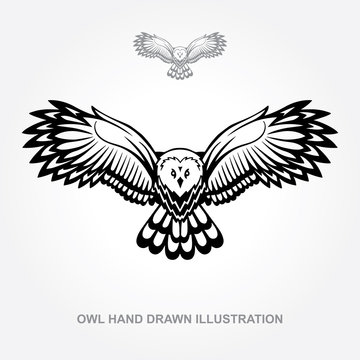 Owl. Flaying owl hand drawn vector illustration. Owl attack sketch drawing. Part of set.
