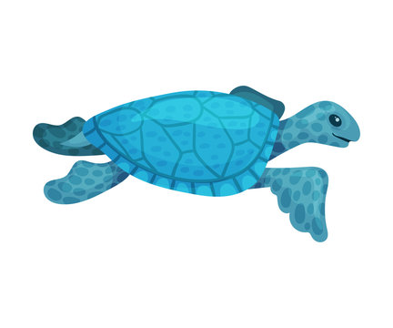 Blue turtle. Vector illustration on a white background.