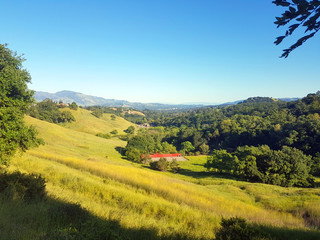 Walnut Creek - California