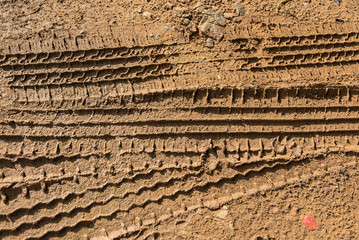 Wheel tracks on the soil.