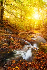 Fotobehang Oranje Beautiful autumn landscape with a waterfall in the autumn forest.  © Anton Petrus