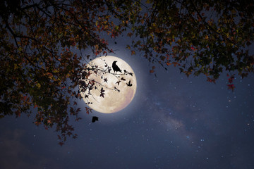 Beautiful autumn fantasy - maple tree in fall season and full moon with star. Retro style with...